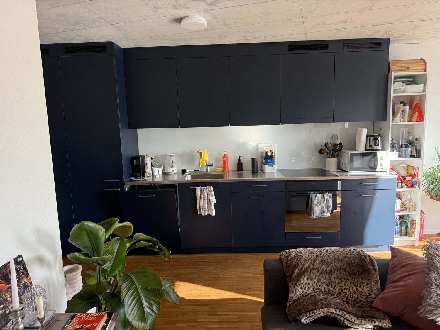 Room in a shared flat