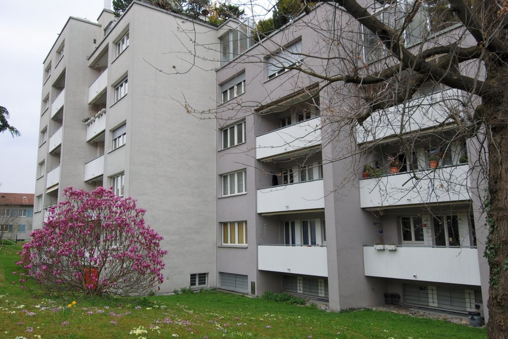 2 ½ rooms apartment