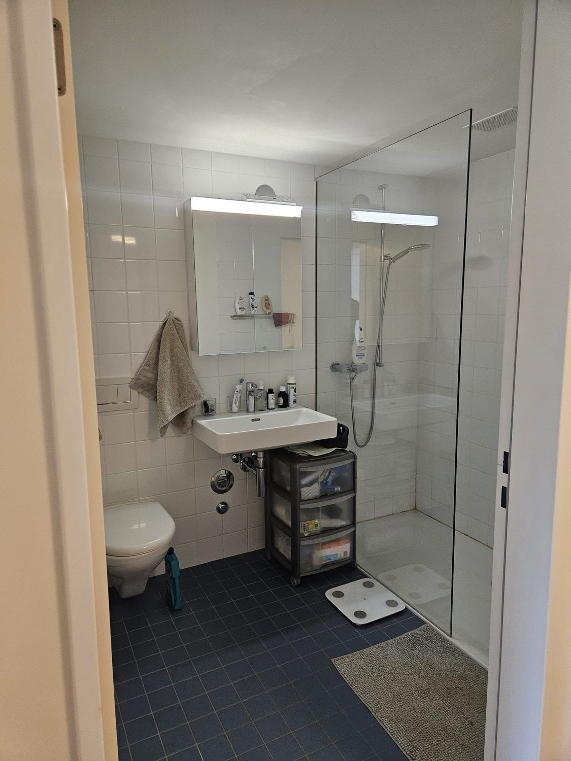 Room in a shared flat