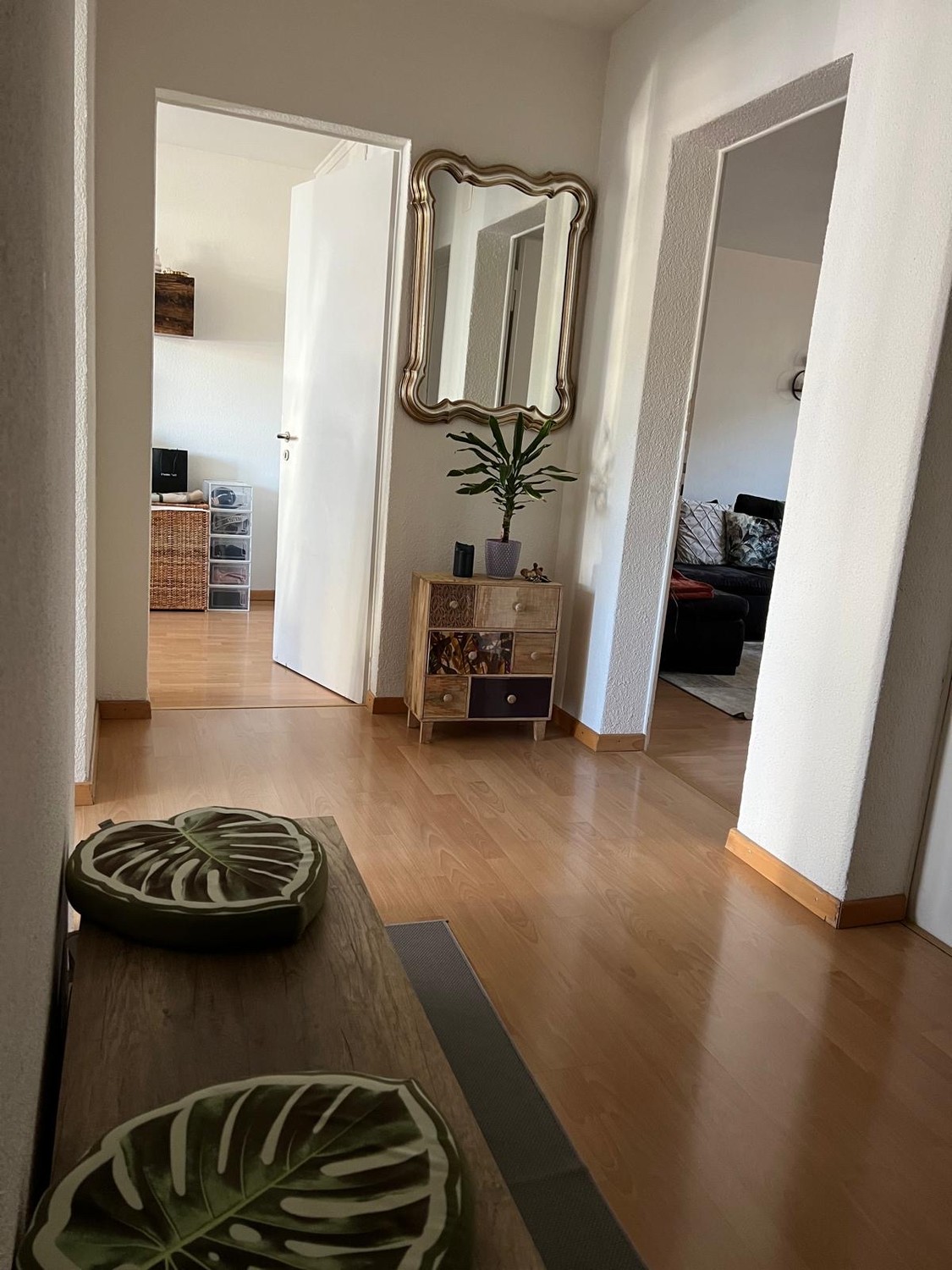 Room in a shared flat