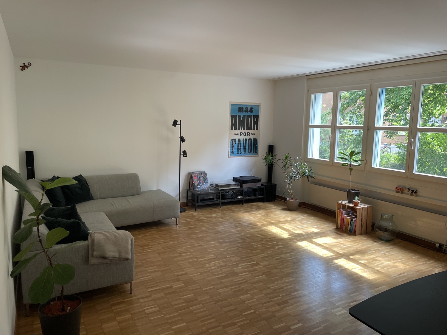 Room in a shared flat