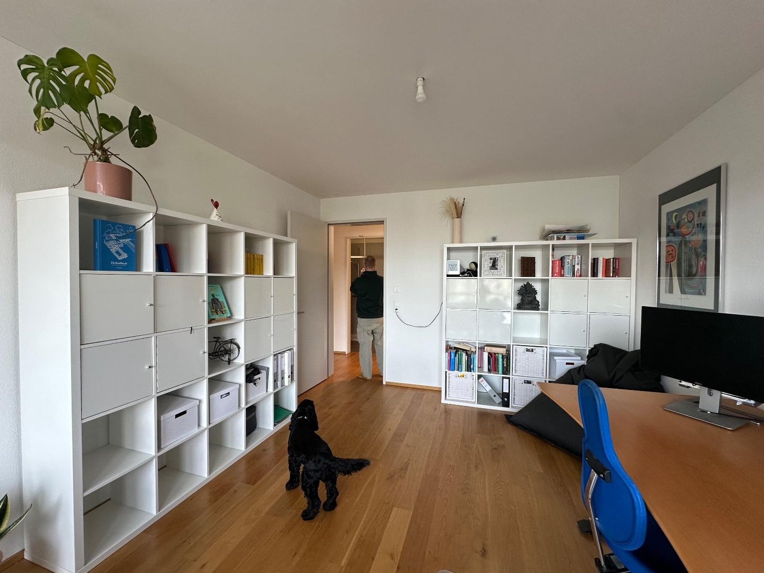 Room in a shared flat