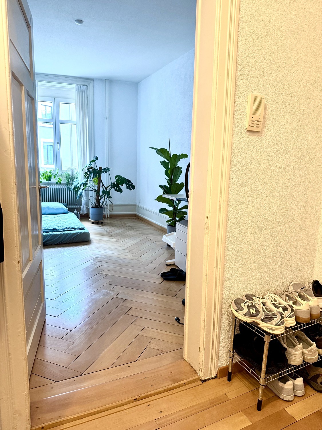 Room in a shared flat