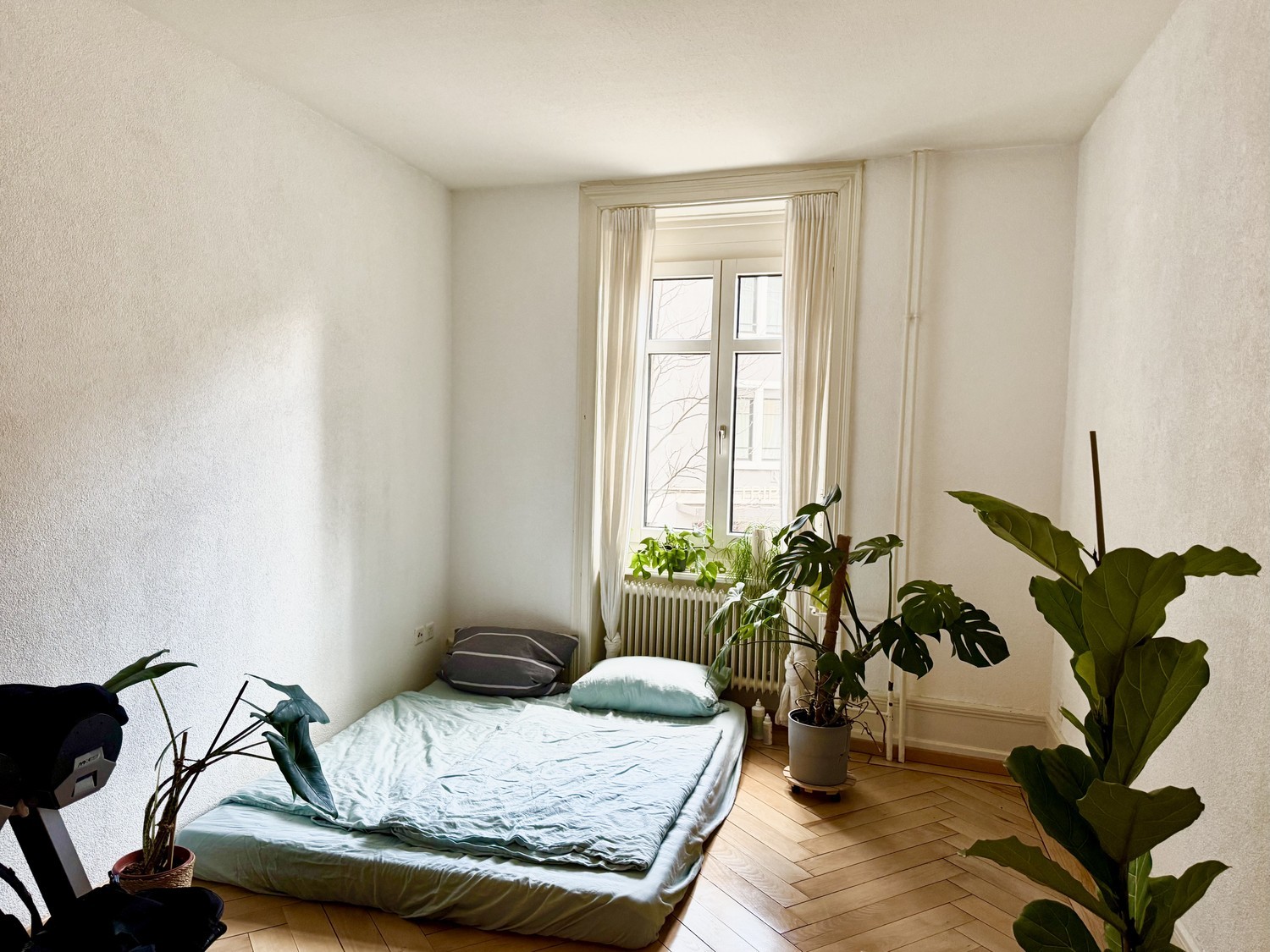 Room in a shared flat