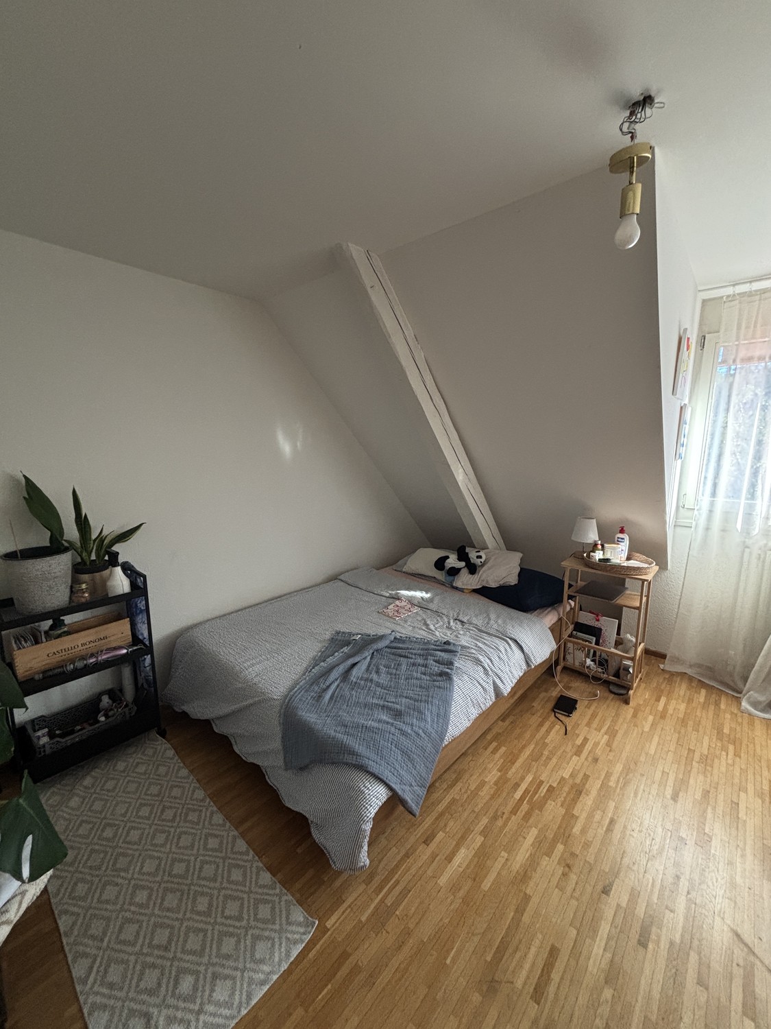 Room in a shared flat