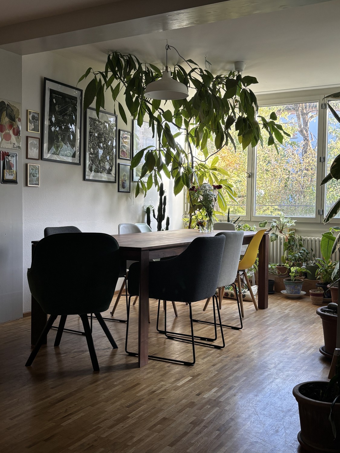 Room in a shared flat