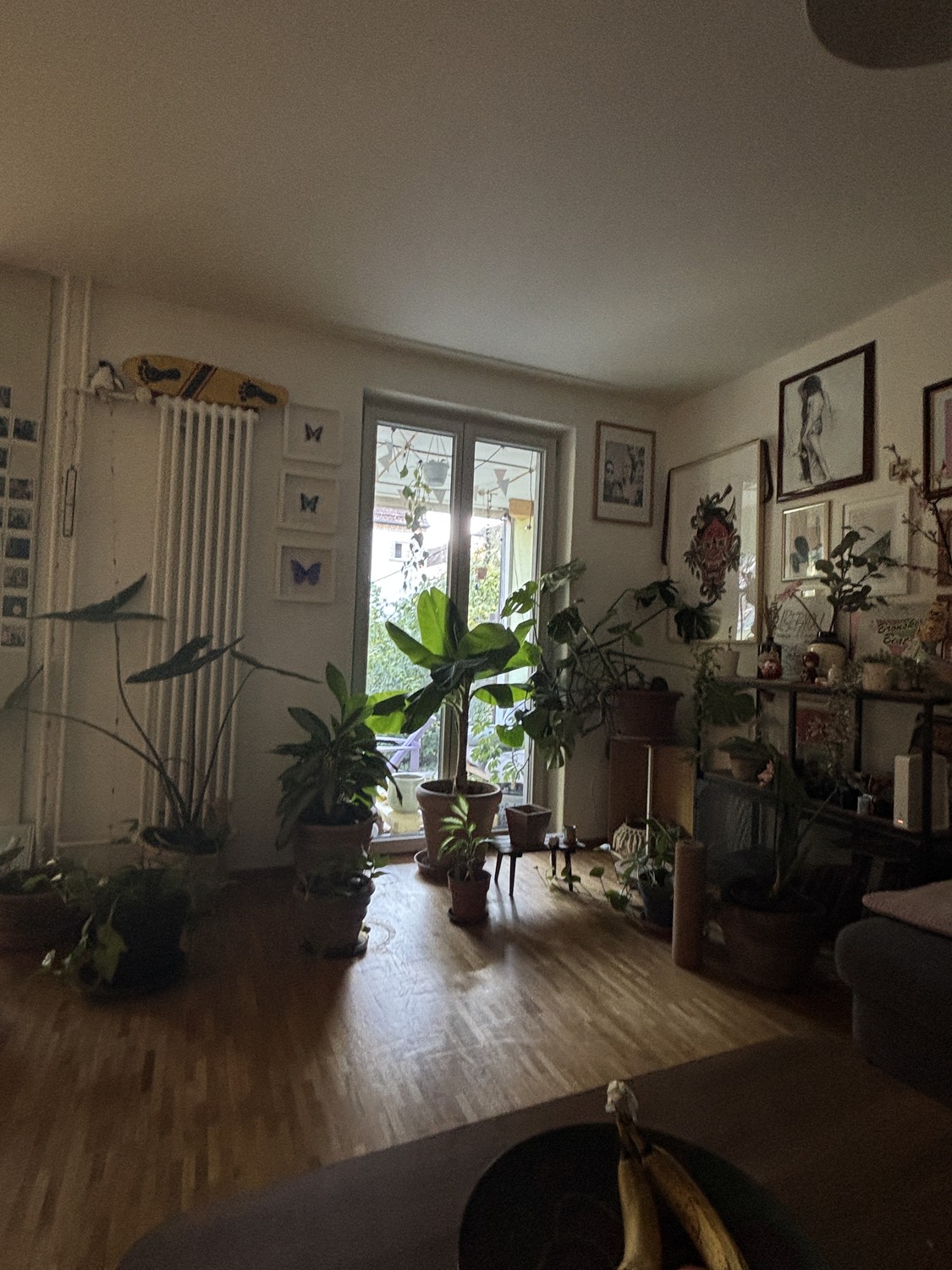Room in a shared flat