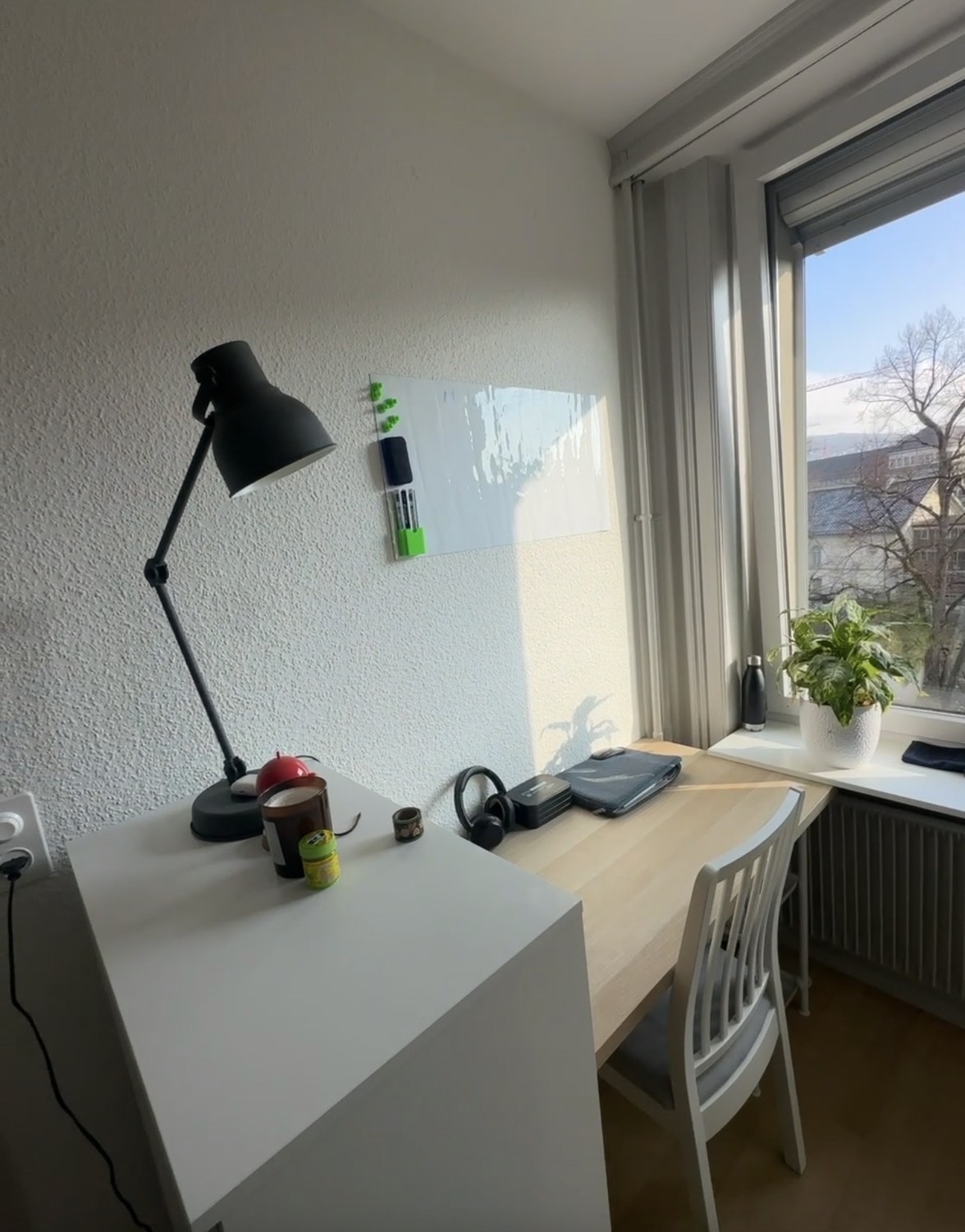 Room in a shared flat