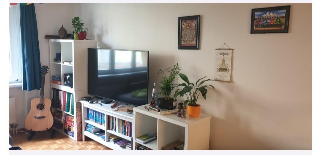 2 ½ Zimmer-Wohnung
