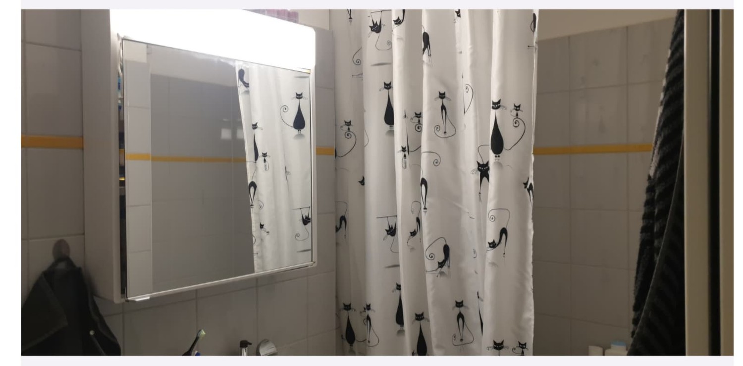 2 ½ Zimmer-Wohnung