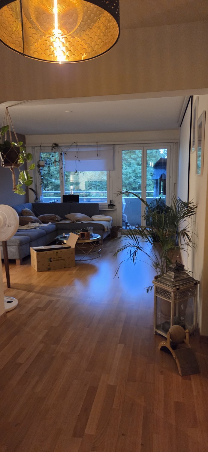4 ½ rooms apartment