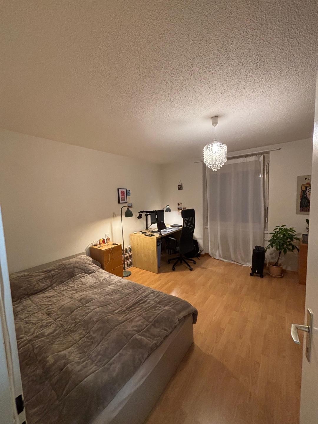 Room in a shared flat