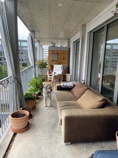 Room in a shared flat, photo 1 of 7