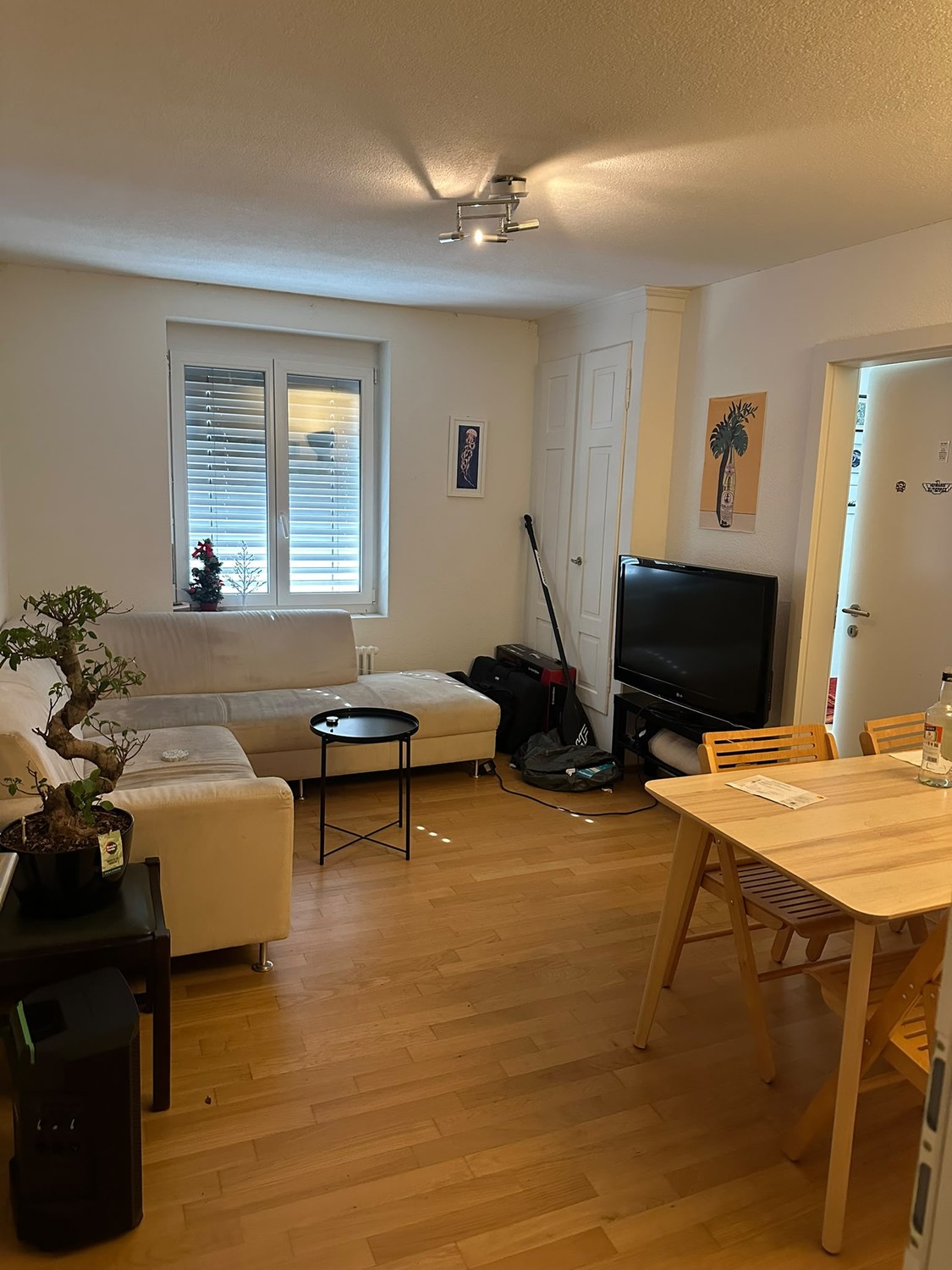 Room in a shared flat