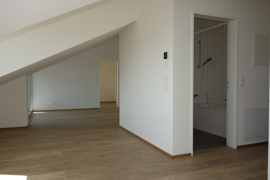 Appartement de 1 ½ pièces