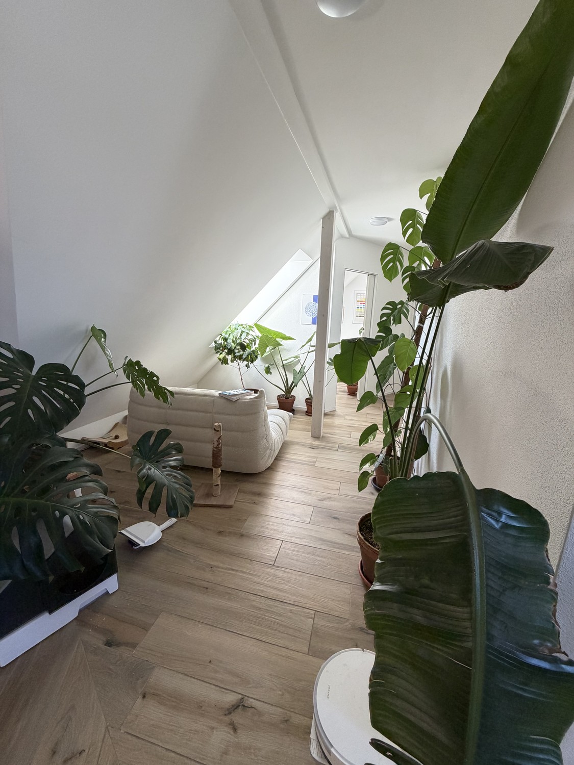 2 ½ rooms apartment, photo 4 of 7