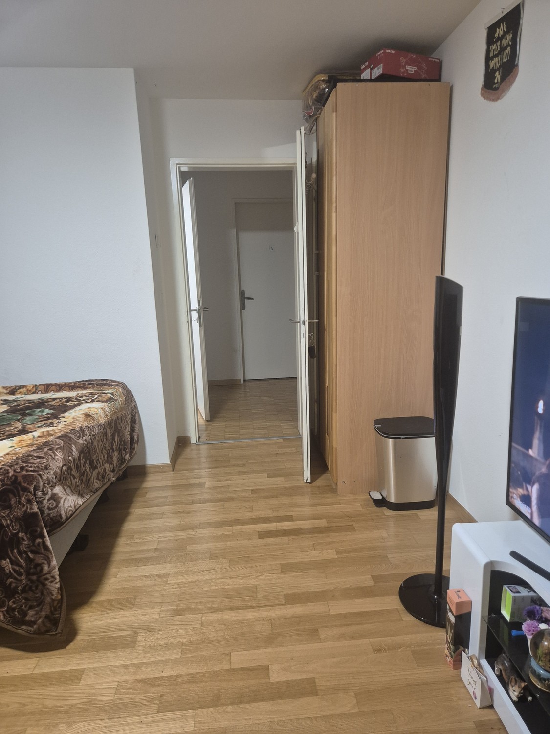 Room in a shared flat