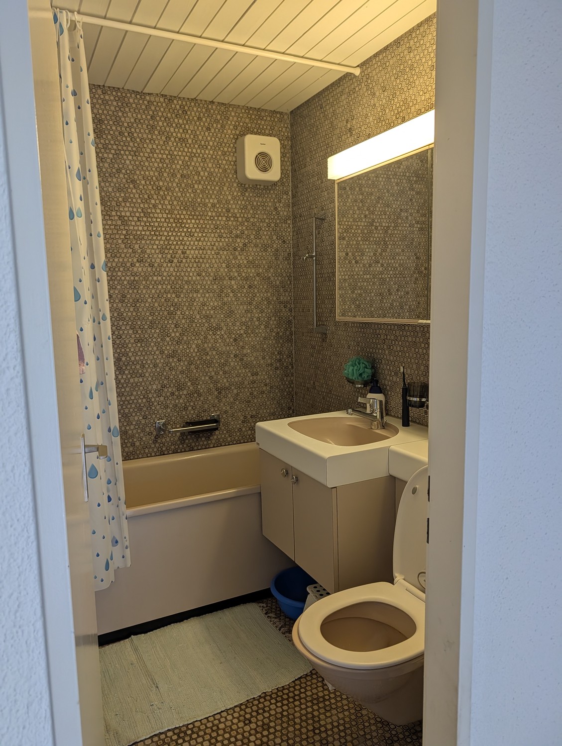 2 ½ rooms apartment