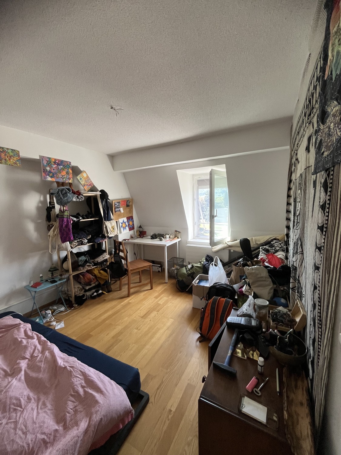Room in a shared flat