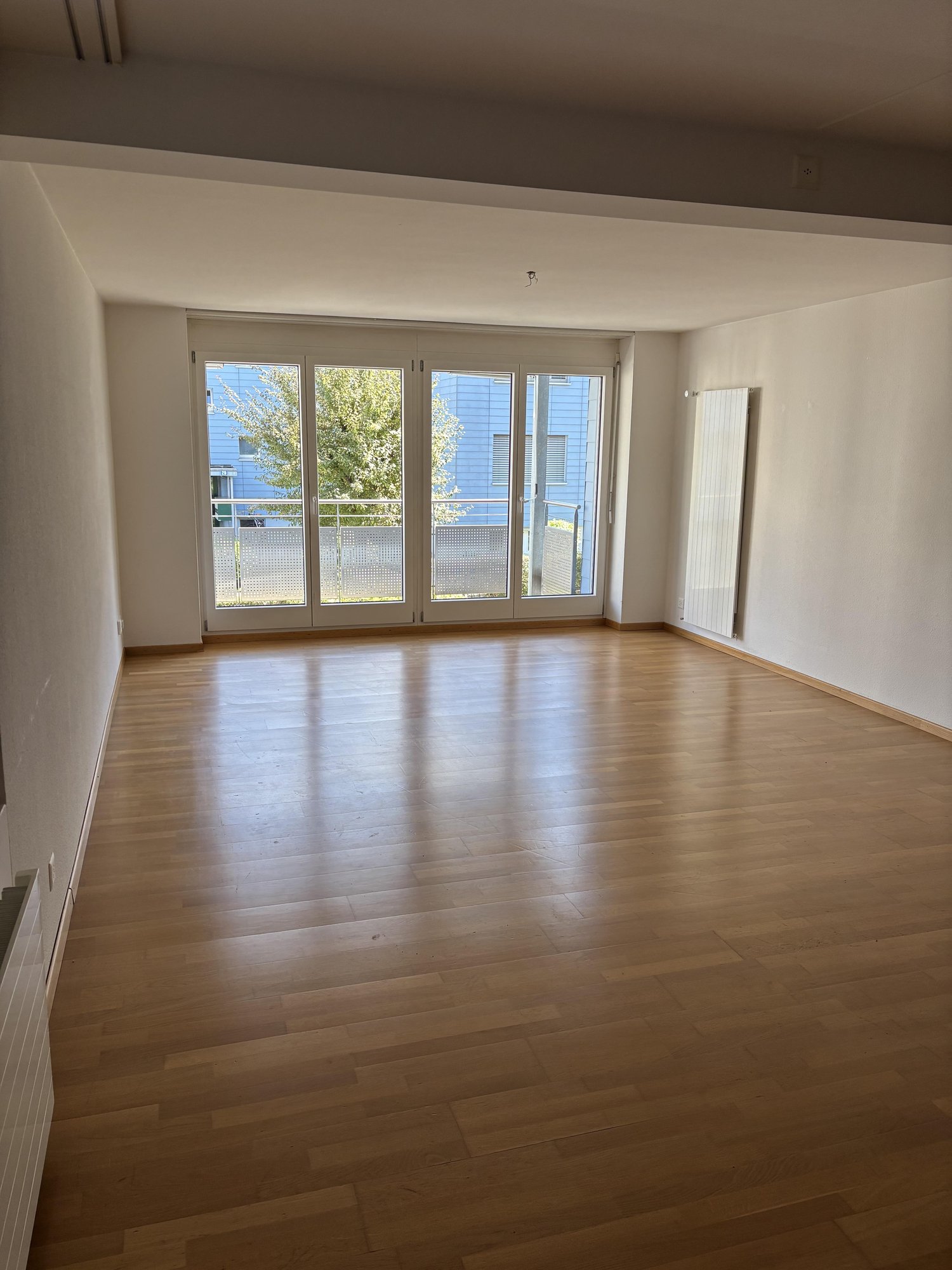 5 ½ rooms apartment
