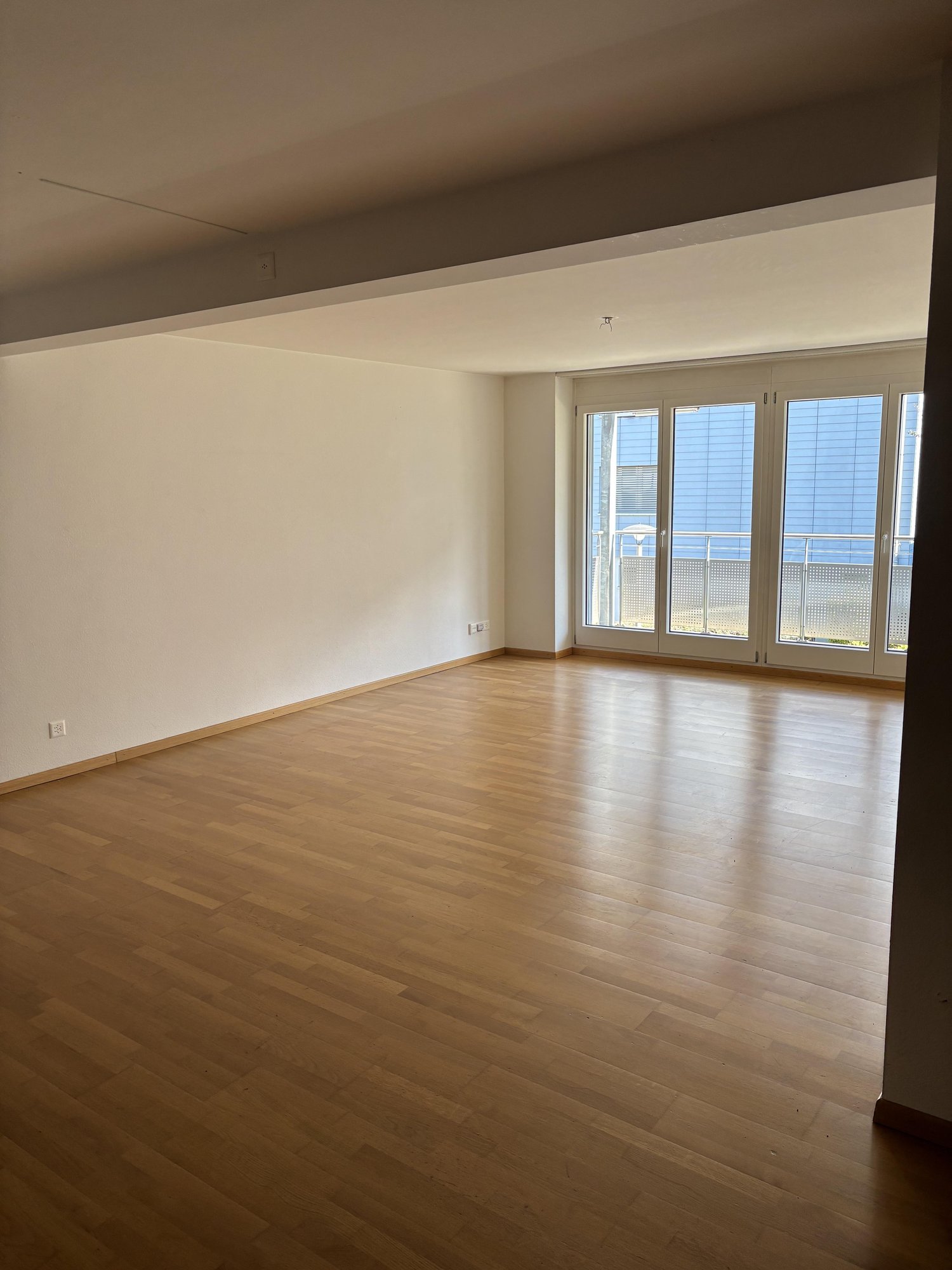 5 ½ rooms apartment