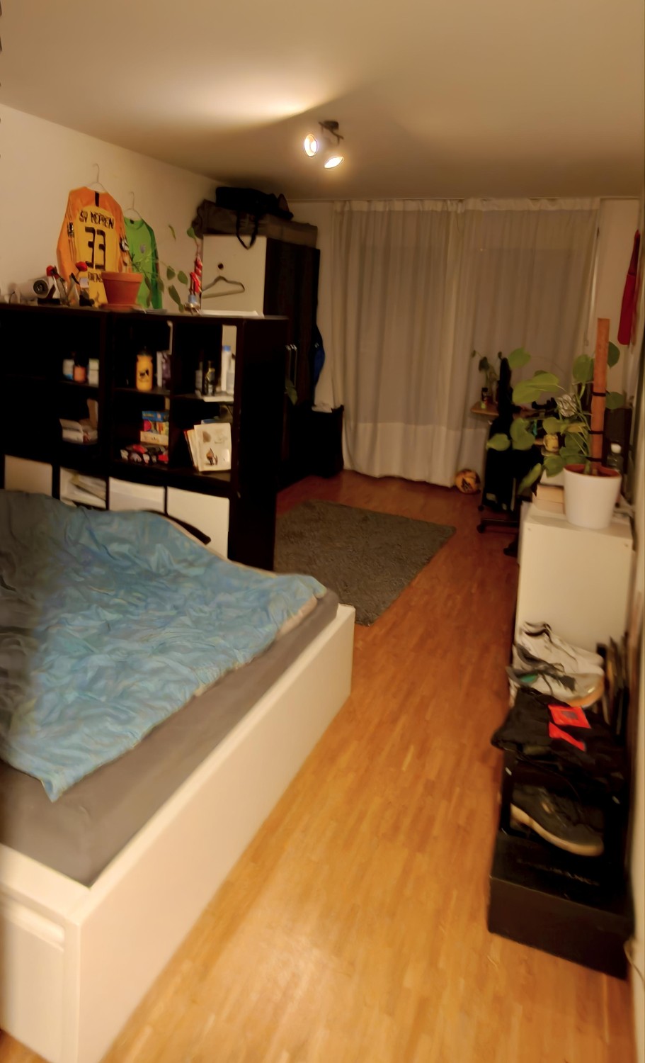 Room in a shared flat