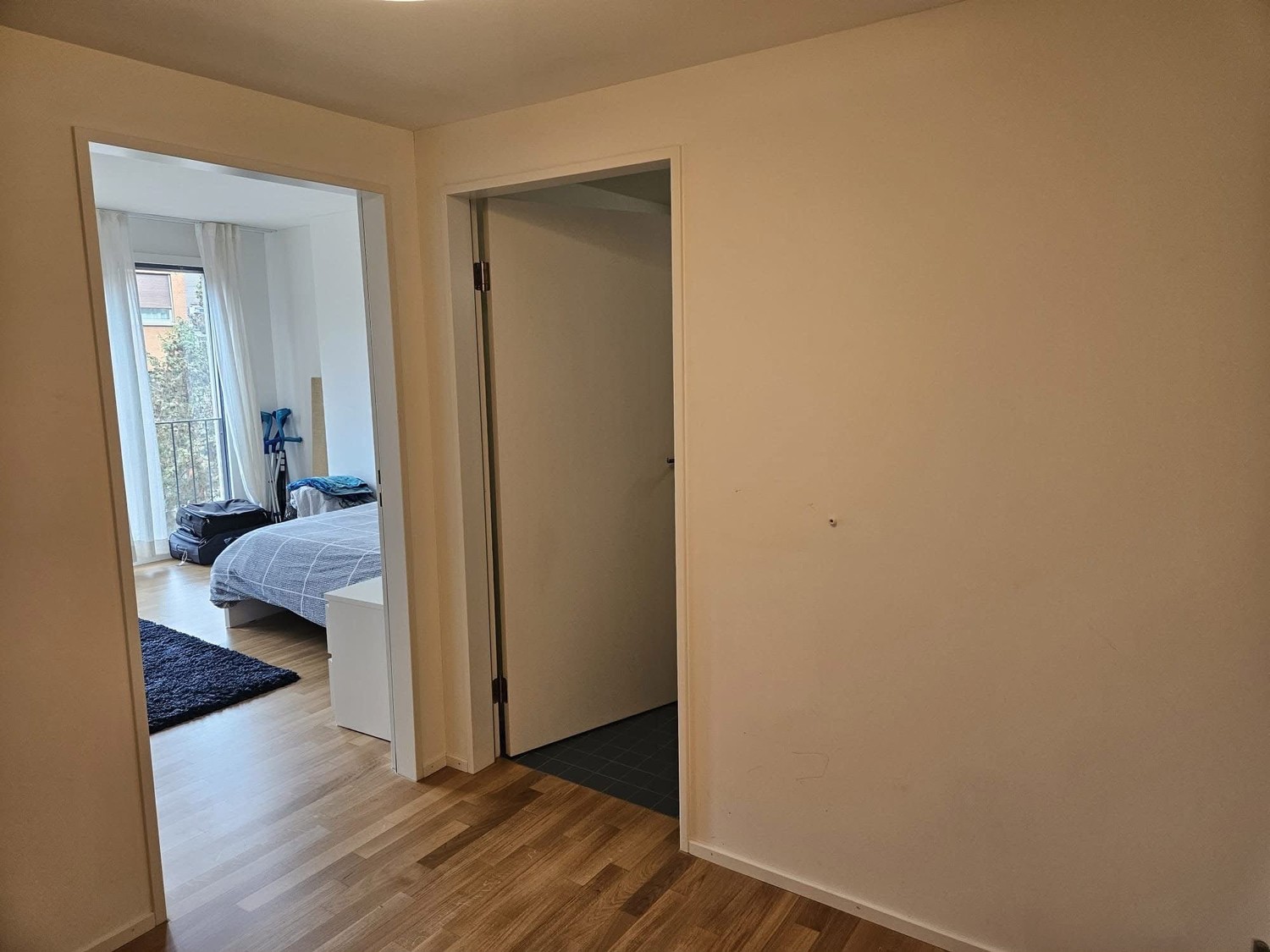 Room in a shared flat