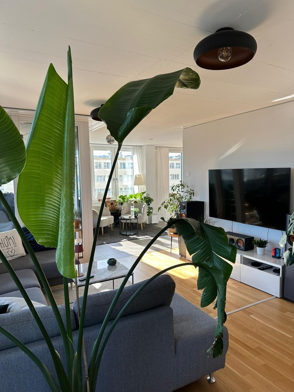 Room in a shared flat, photo 5 of 10