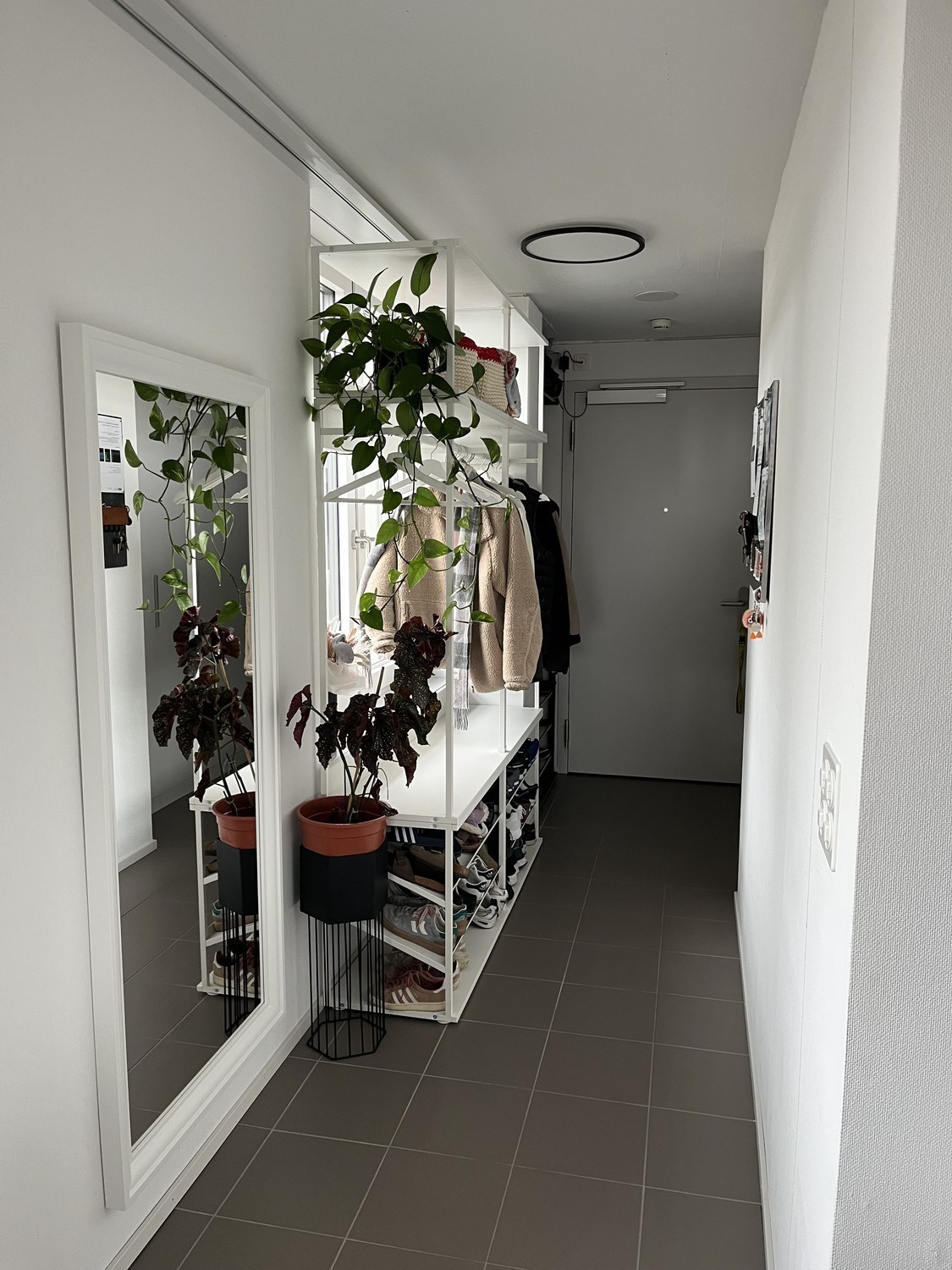 Room in a shared flat, photo 4 of 10