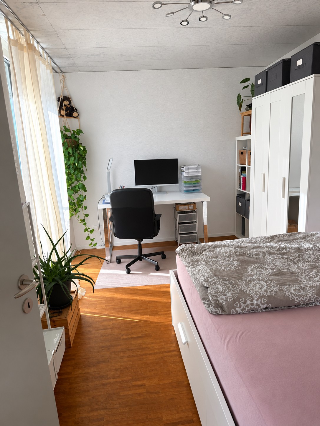 Room in a shared flat