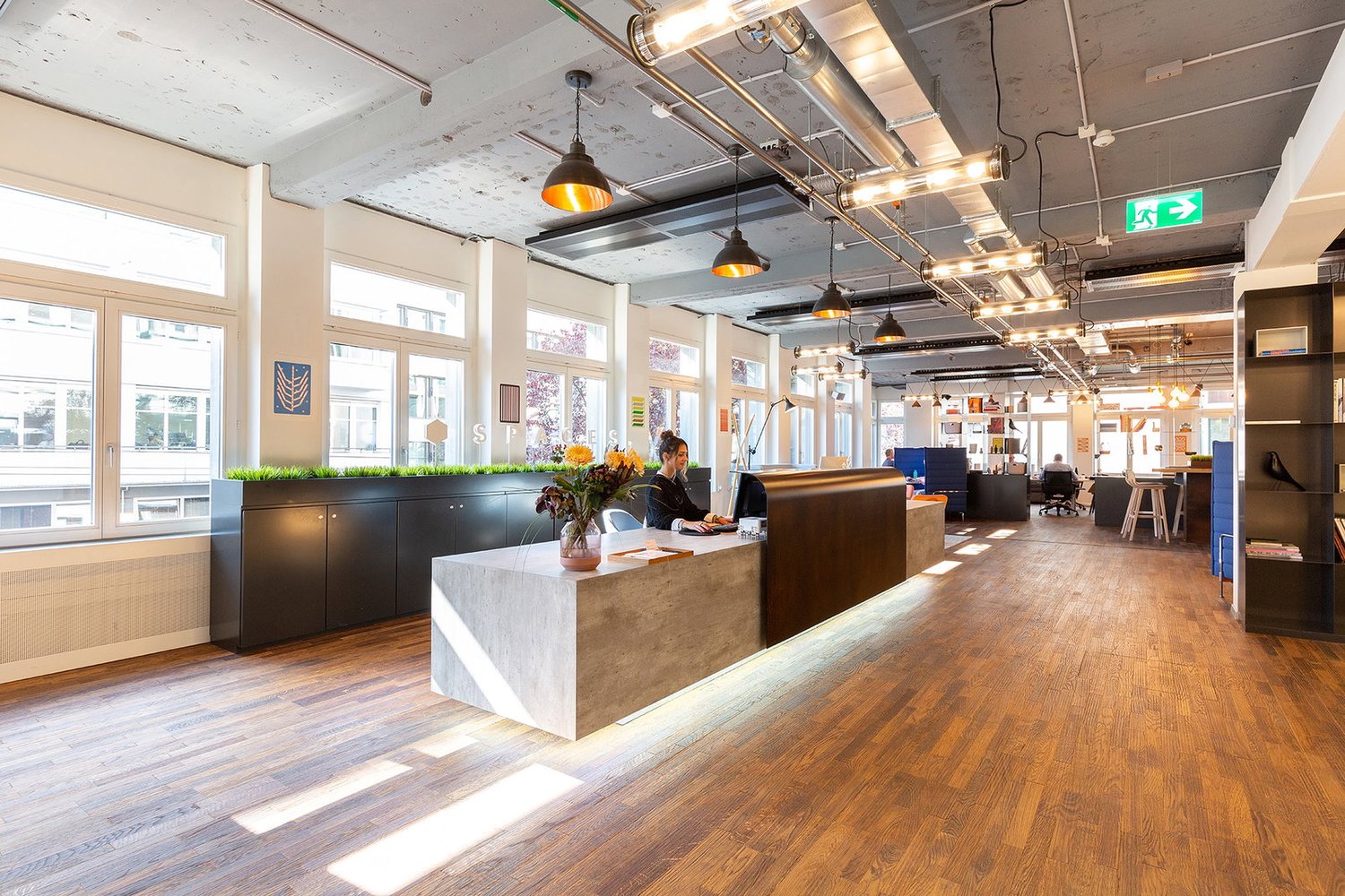 225m² office
