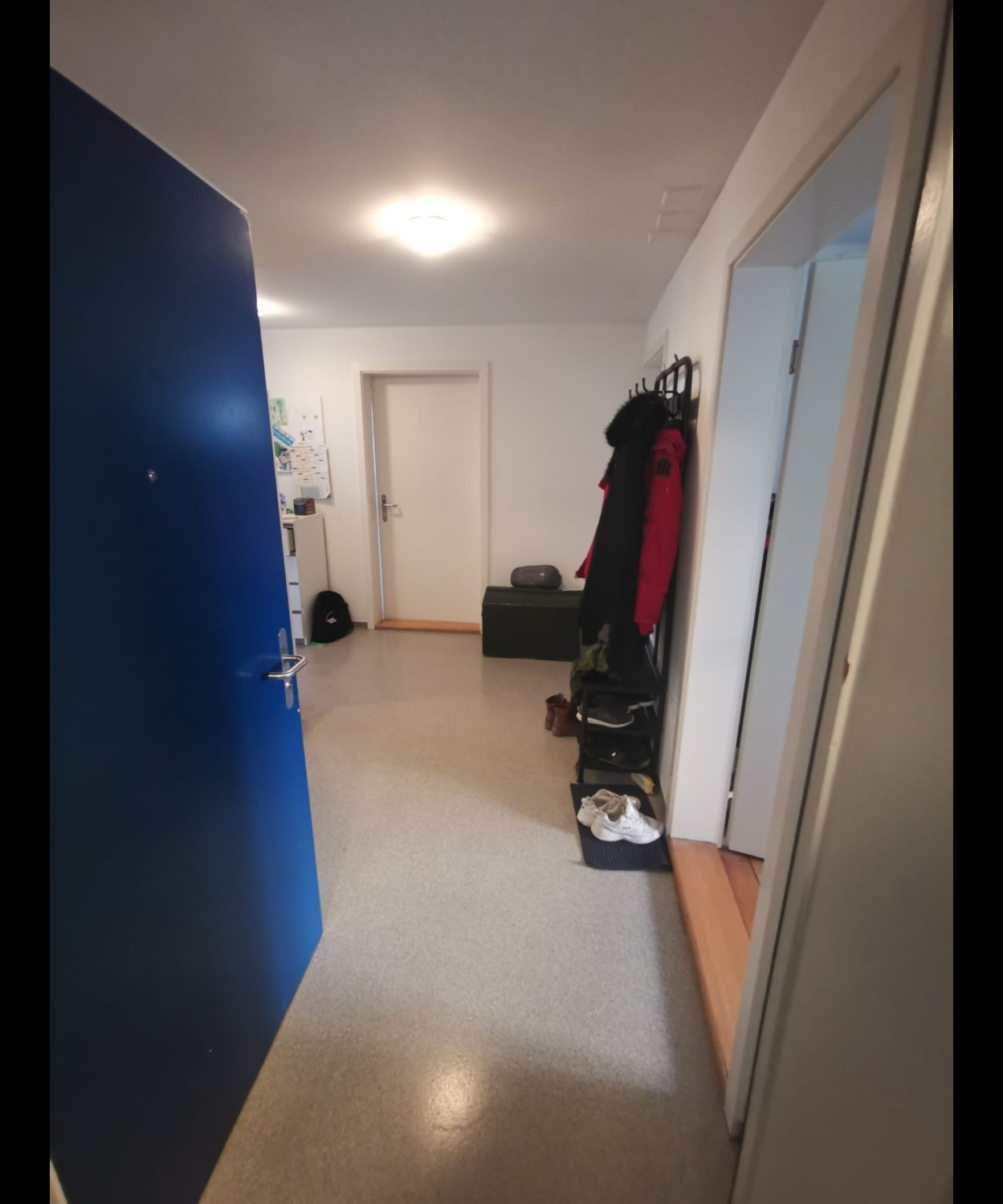 Room in a shared flat