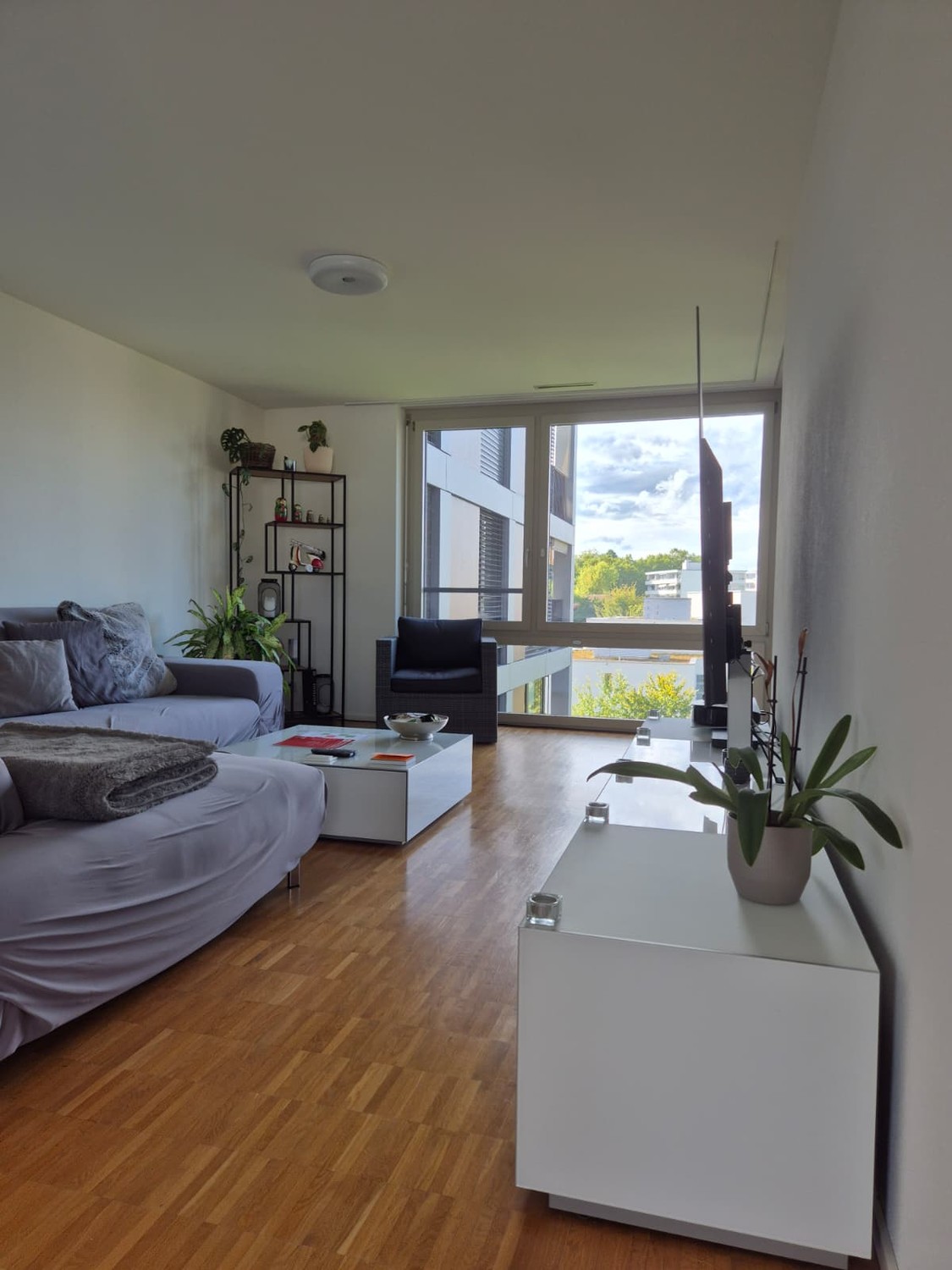 Room in a shared flat