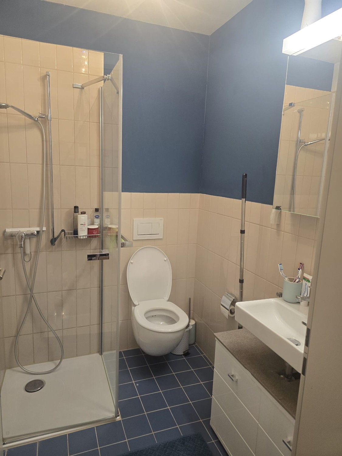 Room in a shared flat