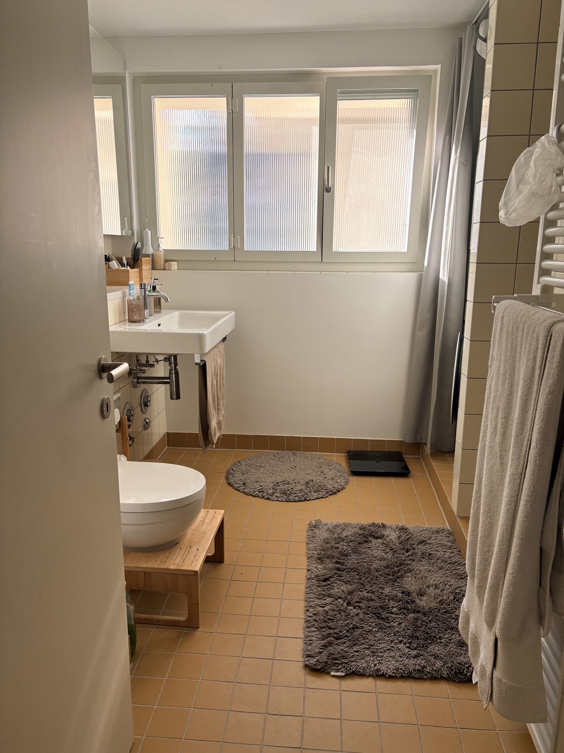 Appartement de 3 ½ pièces