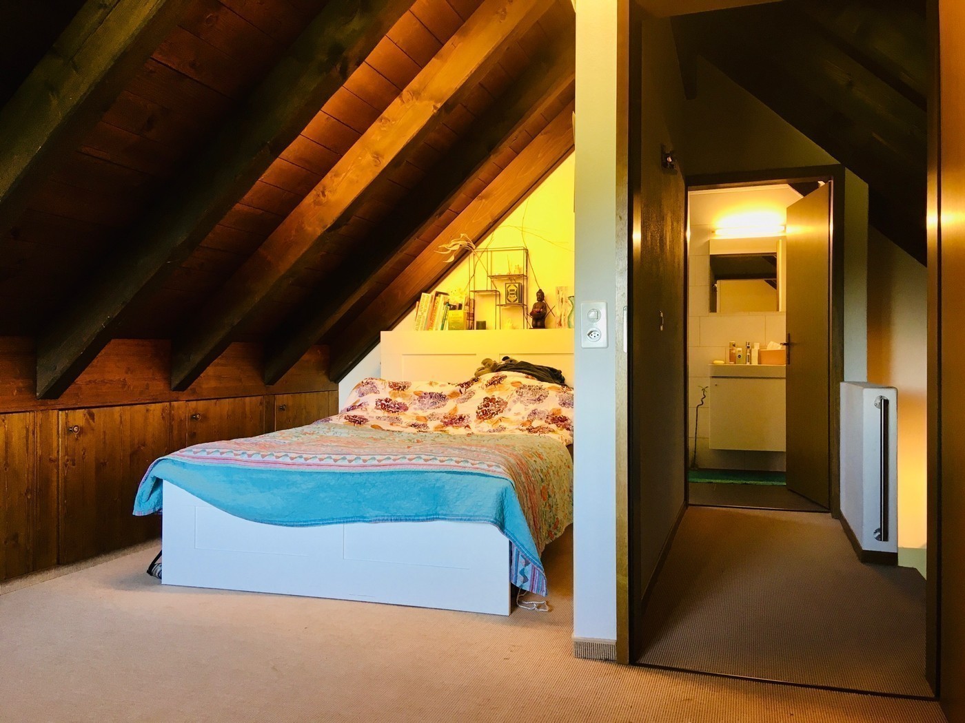 Room in a shared flat