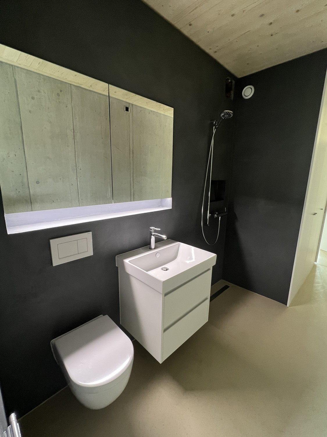 2 ½ rooms apartment