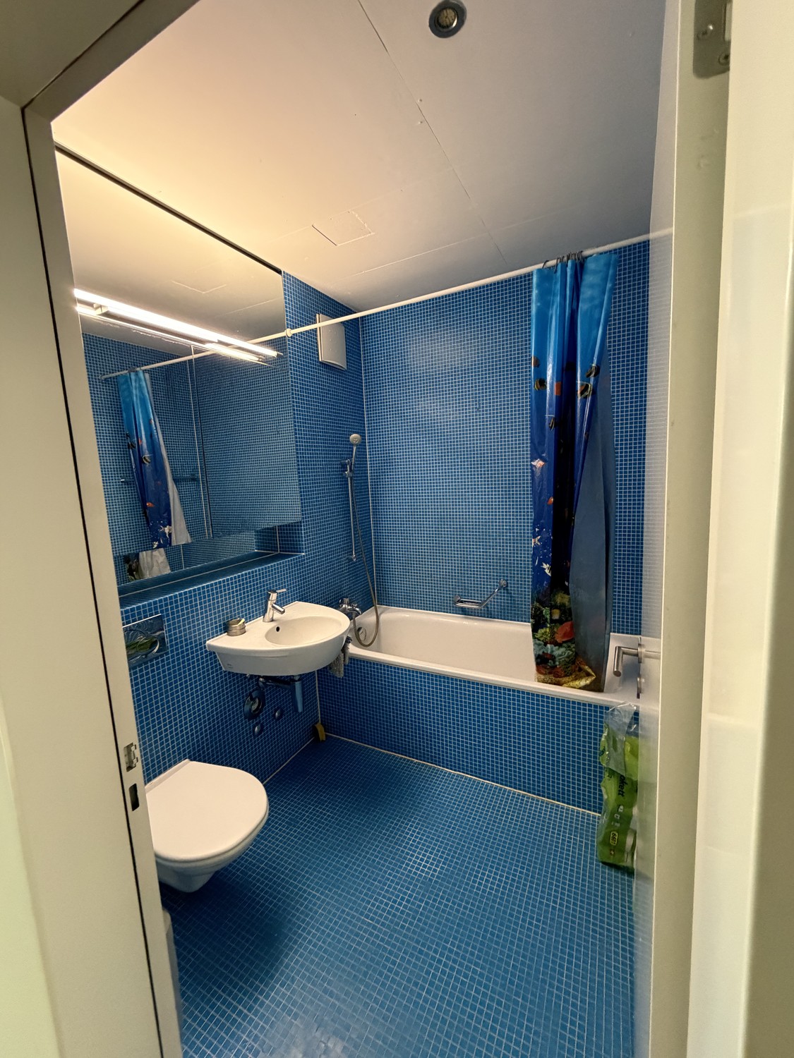 Zimmer in einer WG

Wir suchen einen freundlichen Mitbewohner/eine freundliche Mitbewohnerin für unsere WG! Das Zimmer (15 m²) ist ab dem **1. September** für **CHF 931.81/Monat** (inklusive Heizung) verfügbar und ist bis Januar 2027 garantiert, mit der Möglichkeit, um bis zu ein Jahr zu verlängern.