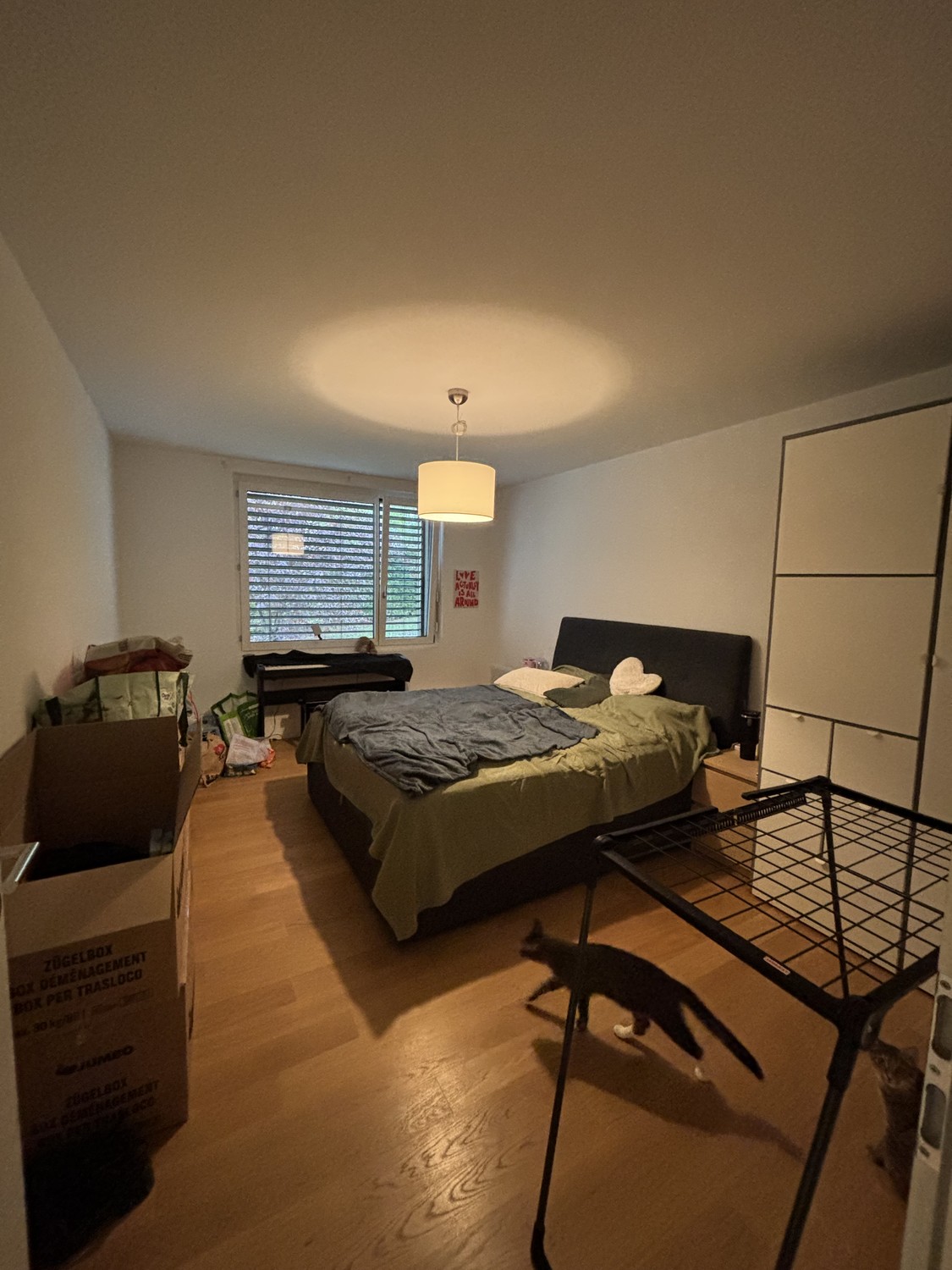 2 ½ rooms apartment, photo 5 of 10
