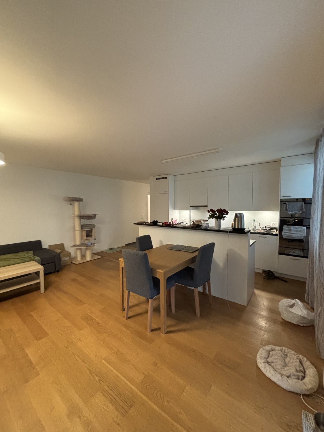 2 ½ rooms apartment, photo 3 of 10