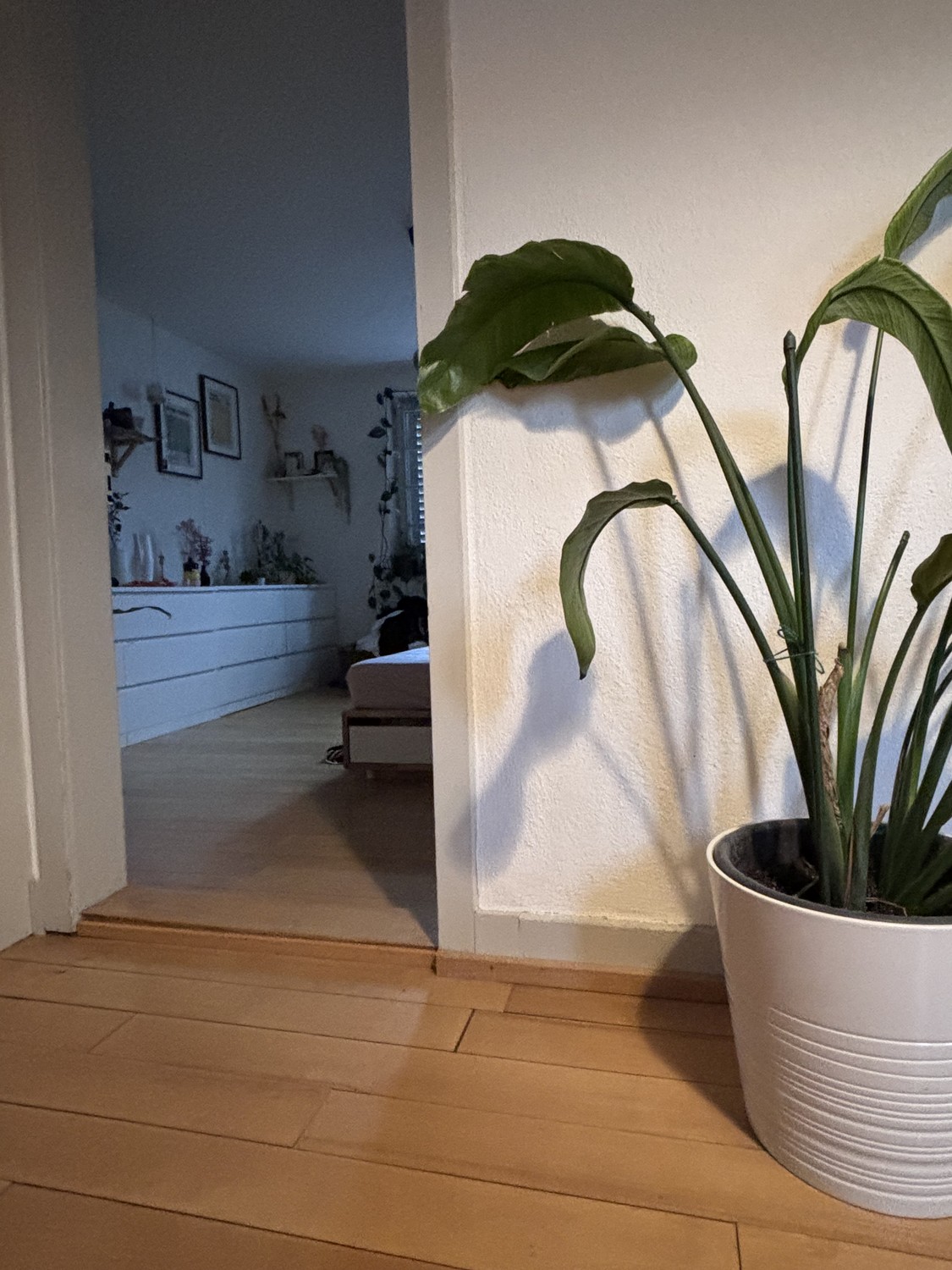 1 room single house