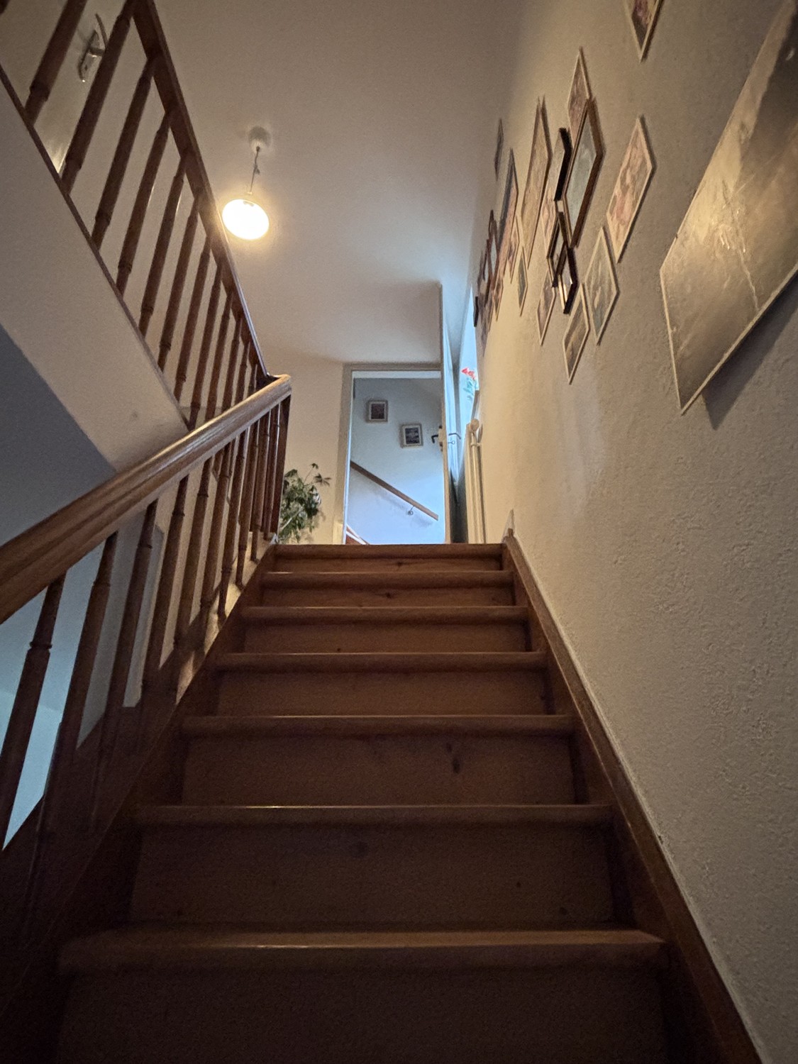 1 room single house