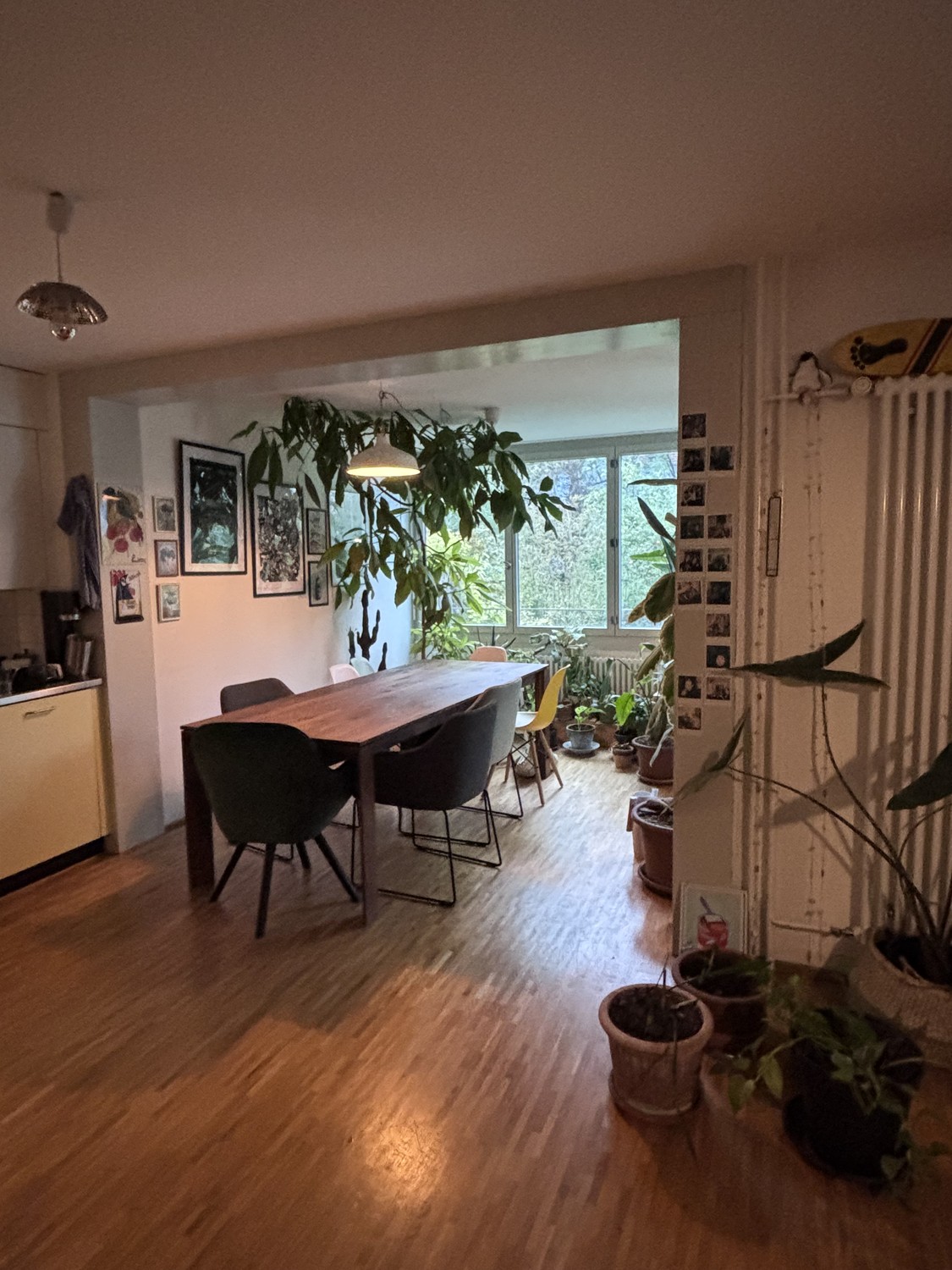 1 room single house