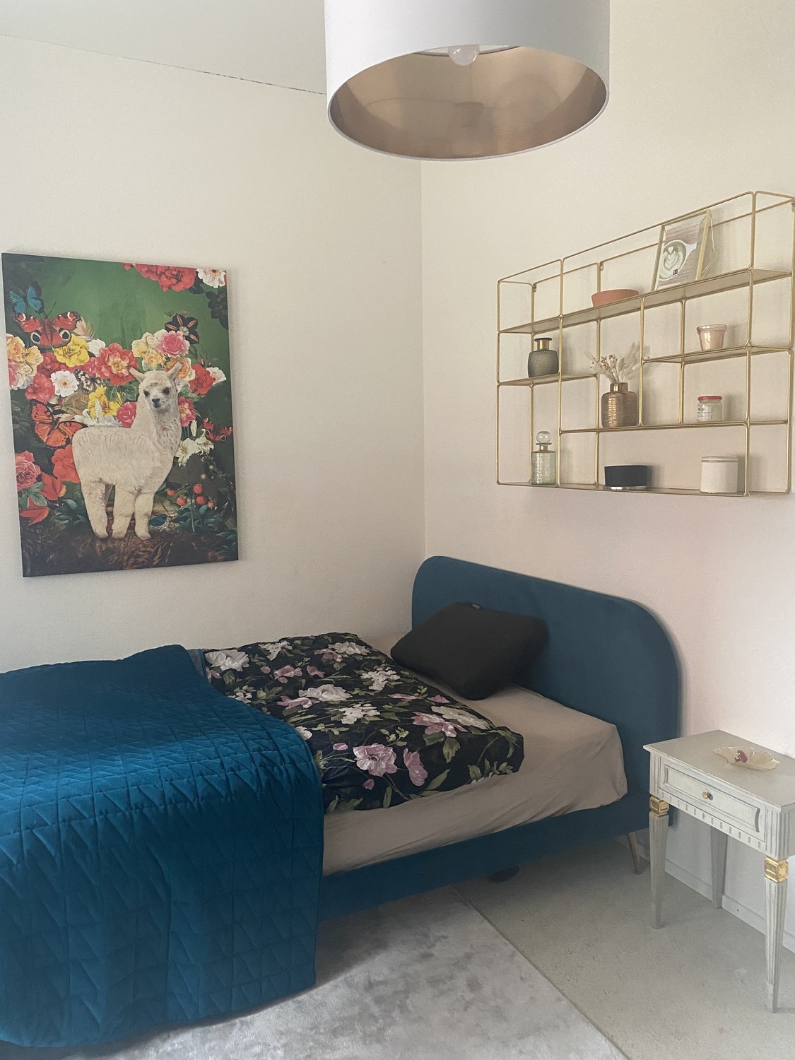Room in a shared flat
