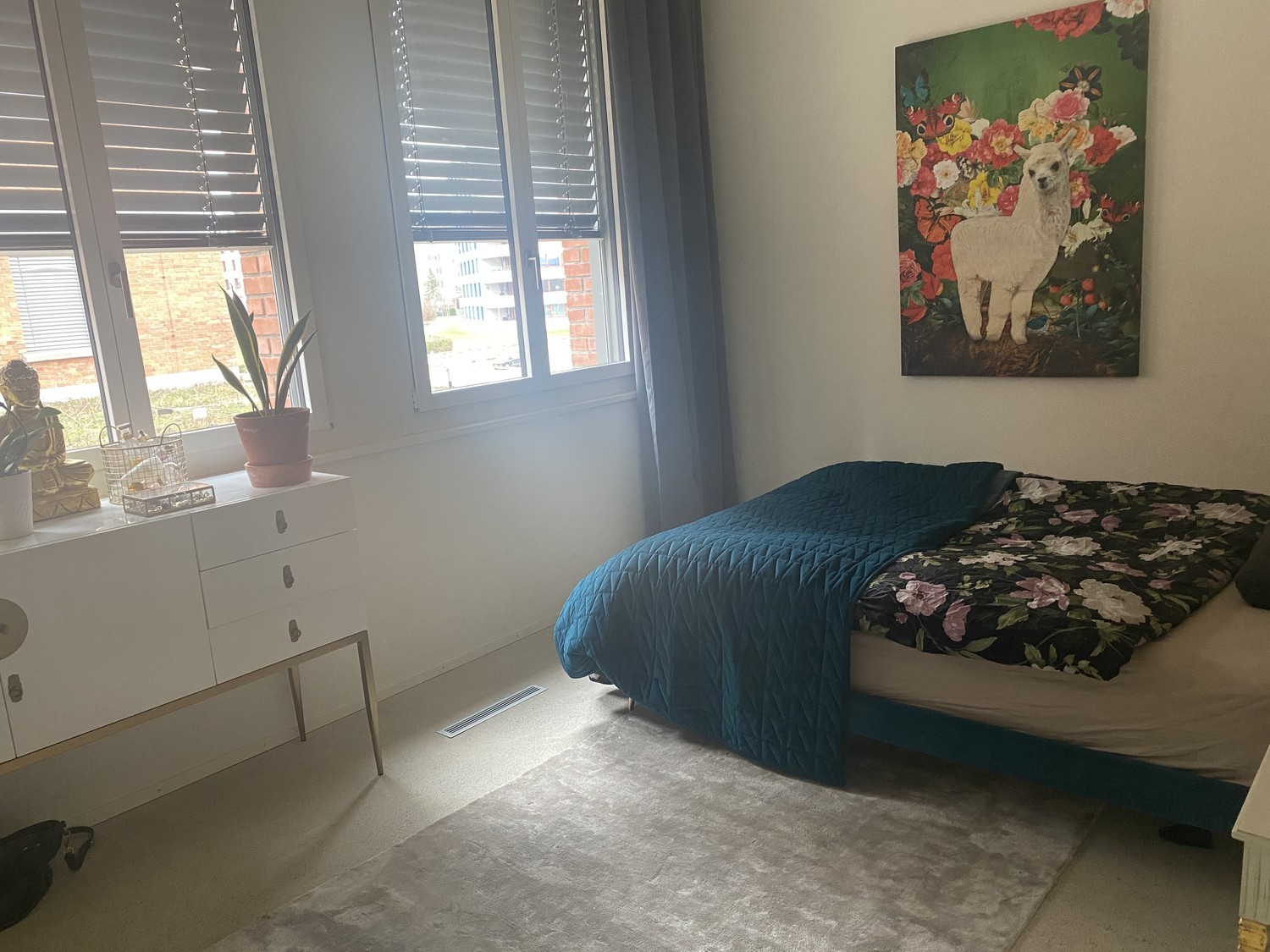 Room in a shared flat