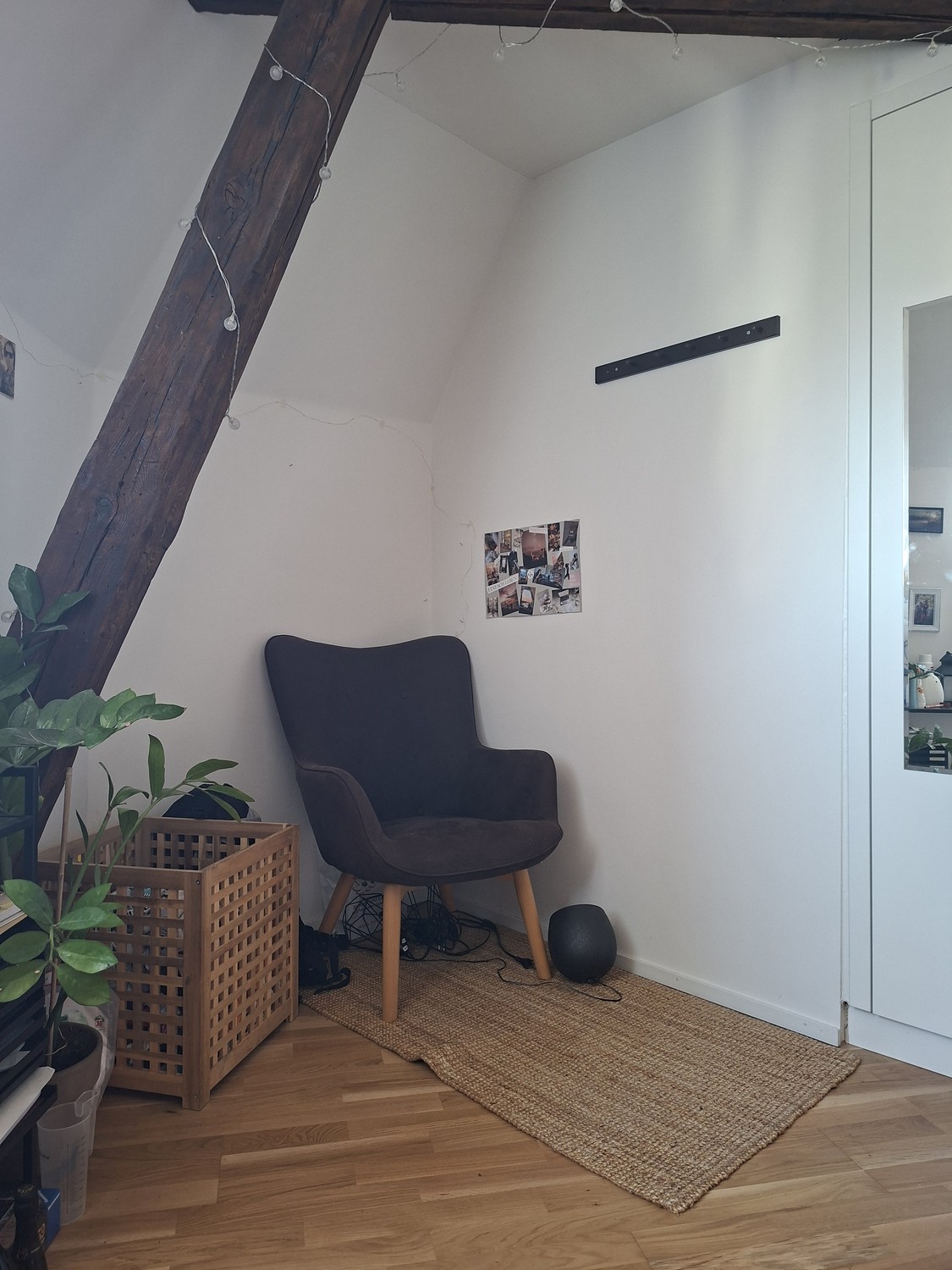 Room in a shared flat