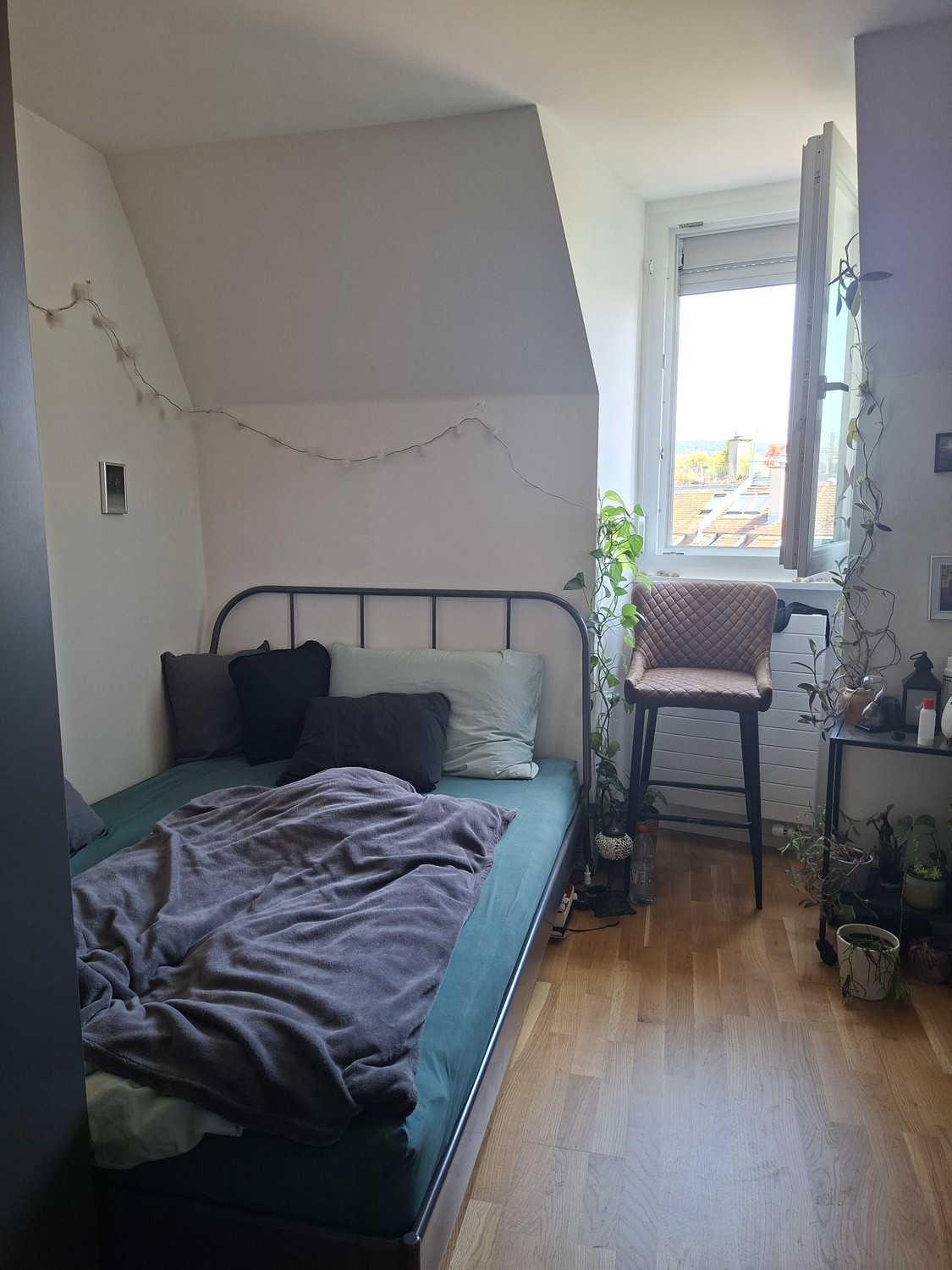Room in a shared flat