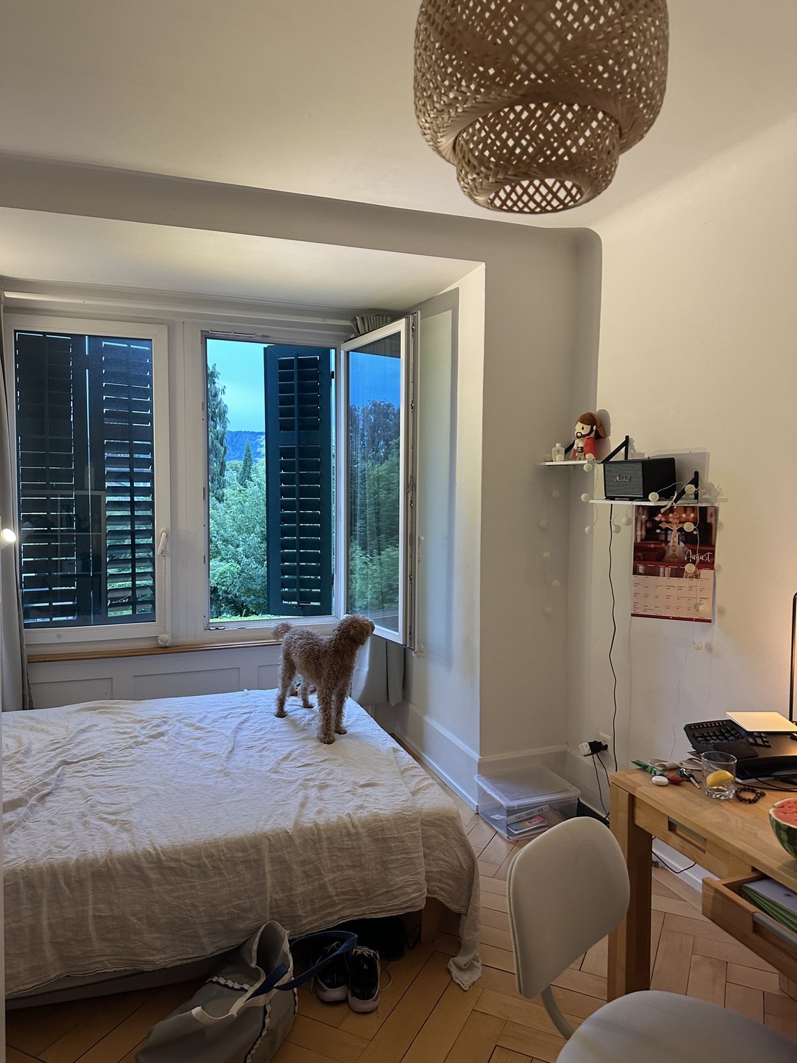 Room in a shared flat