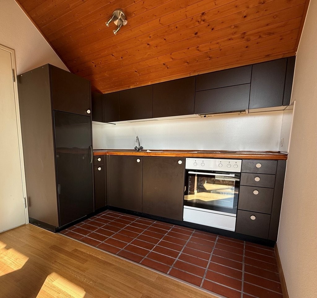 1 ½ rooms loft