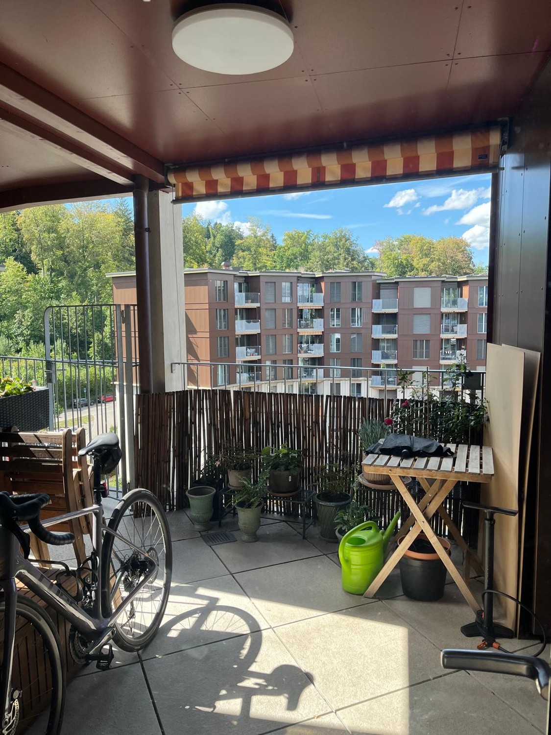 Room in a shared flat